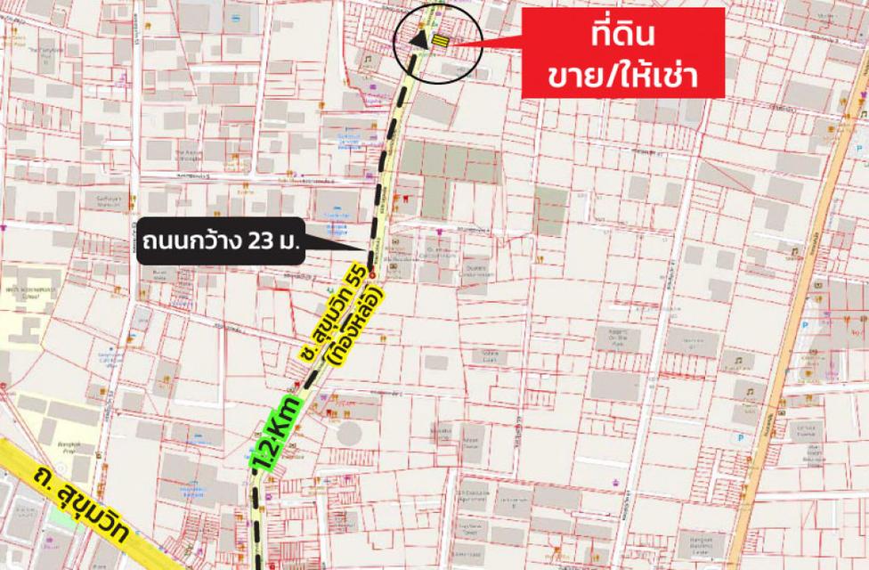 ให้เช่าที่ดินและอาคารพาณิชย์ ถ.ทองหล่อ (ซ.สุขุมวิท 55) 19.7 ตร.ว. - 39.6 ตร.ว. 4