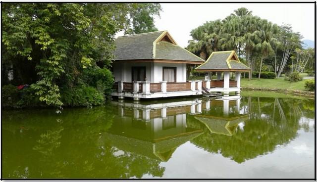 ขายที่ดิน115ไร่ 55ลบ. ฟรีโอน พร้อมบ้านยุโรป3หลัง สาธารณูปโภคครบ เหมาะทำรีสอร์ท คาเฟ่ ที่เที่ยว เกษตร ใกล้เทศบาล ต.ทากาศ  4