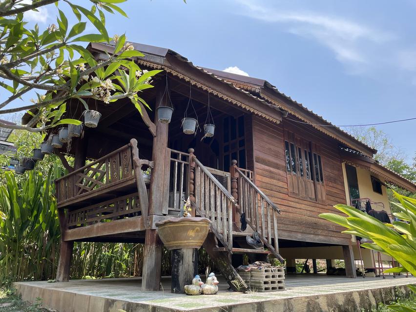 ขายที่ดินพร้อมสิ่งปลูกสร้าง จังหวัดเลย 4แปลง เนื้อที่ รวม 2ไร่ 91 ตรว 15