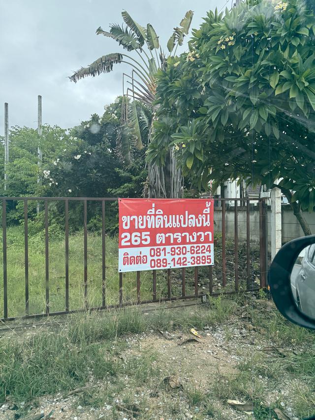 บ้านเดี่ยว ใกล้ทะเล หาดพยูน