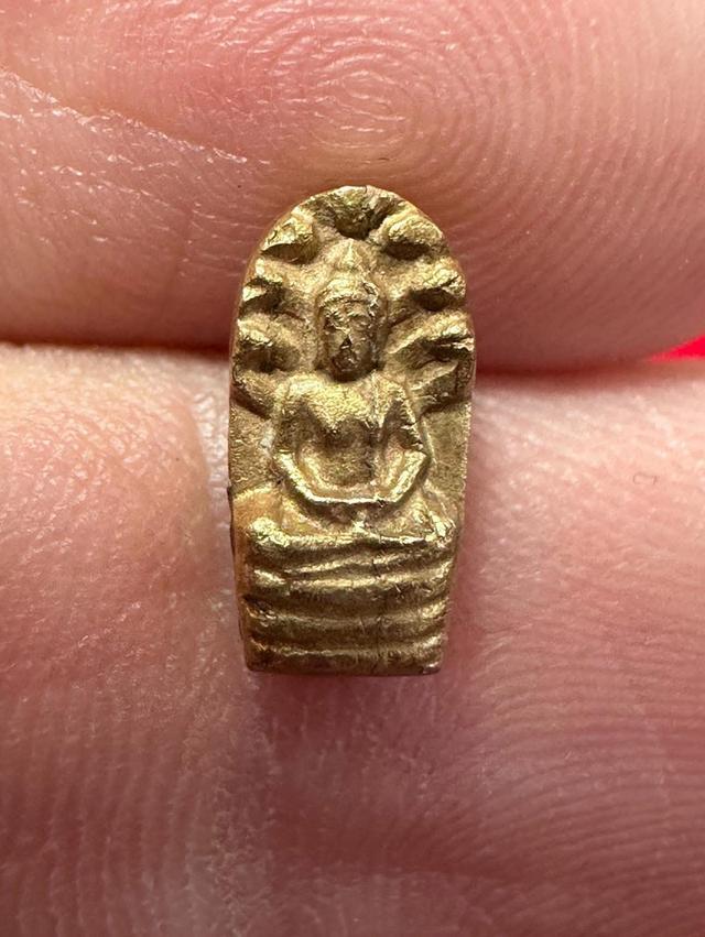 พระนาคปรกใบมะขามเนื้อทองคำ