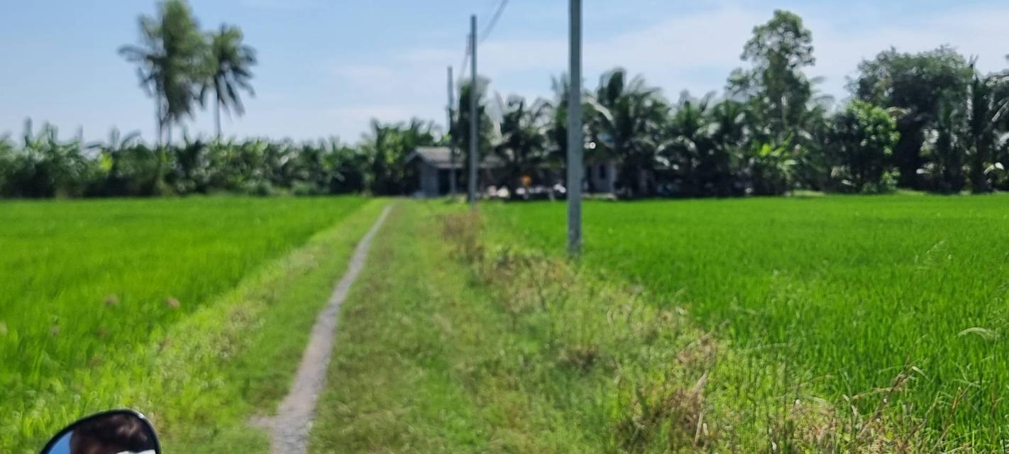 💎 [โอกาสทอง] ขายที่ดินลาดกระบัง-ทับยาว 2 ไร่ (แบ่งขายได้) 10