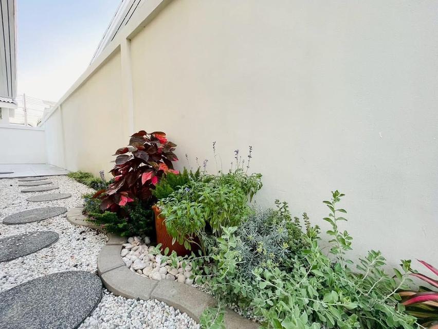 ขายบ้านแฝด พัทยา ถนนพัฒนาการ 2.89 ล้าน 2