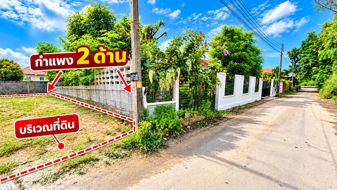 ขายที่ดินถมแล้ว 166 ตร.ว. ทับมา ระยอง ใกล้โกลบอลเฮ้าส์ ไฟฟ้าและประปาผ่านหน้าแปลง 12