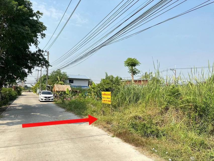 ขายที่ดินต้นซอยบงกช 43 ซอยบงกช 43 ถนนเลียบคลอง 2 ต.คลองหลวง อ.คลองหลวง จ.ปทุมธานี  2