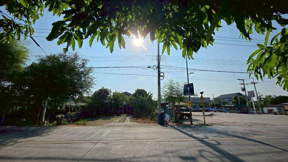 [ขายด่วน!] บ้านเดี่ยวแปลงใหญ่ 194.3 ตร.ว. ทำเลทองติด 7-11 ต.บางพูด จ.ปทุมธานี 4