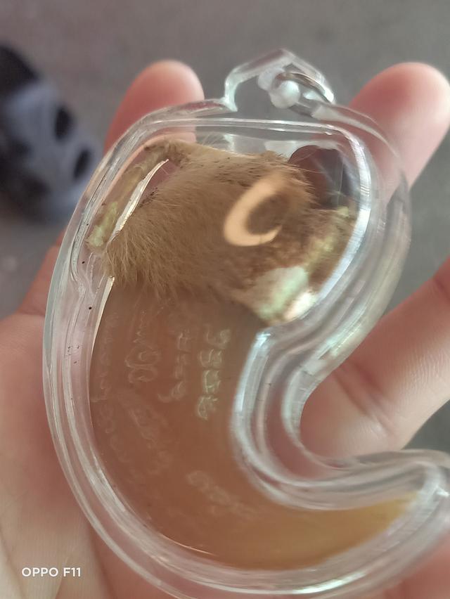 เครื่องรางของขลังวัตถุมงคล