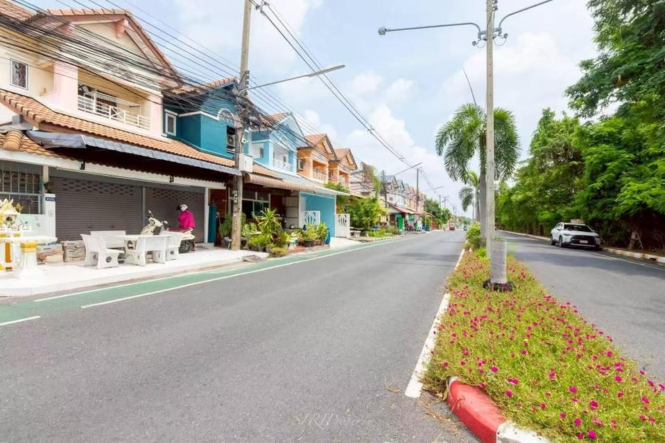 โครงการซื่อตรง ถนนเมนหลักโครงการ คลอง3 ธัญบุรี ปทุมธานี ติดถนนใหญ่รังสิต-นครนายก 7