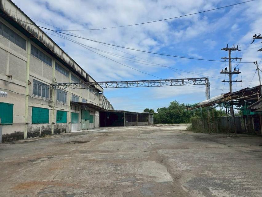 ให้เช่าโรงงาน ขนาดใหญ่ ทำเลดี พื้นที่สีส้ม ใจกลางแหล่งอุตสาหกรรม ใกล้นิคมอมตะนคร พานทอง ชลบุรี พร้อมใช้งาน มีใบอนุญาต รง 3
