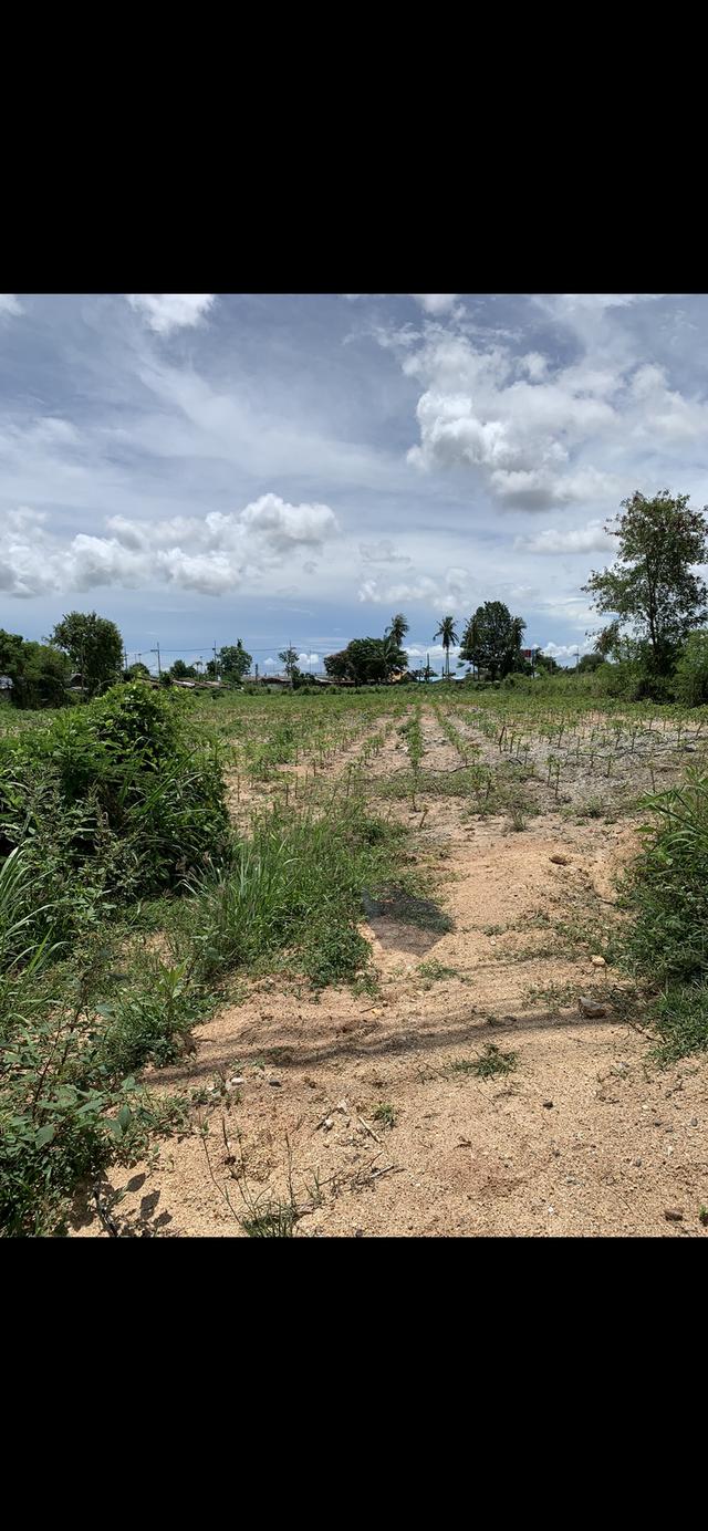 ขายที่ดินพัทยา3ไร่ ตรงอ่างเก็บน้ำมาบประชัน 5