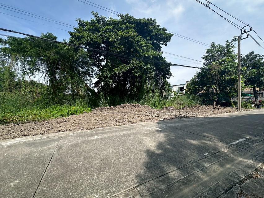 ที่ดิน 8