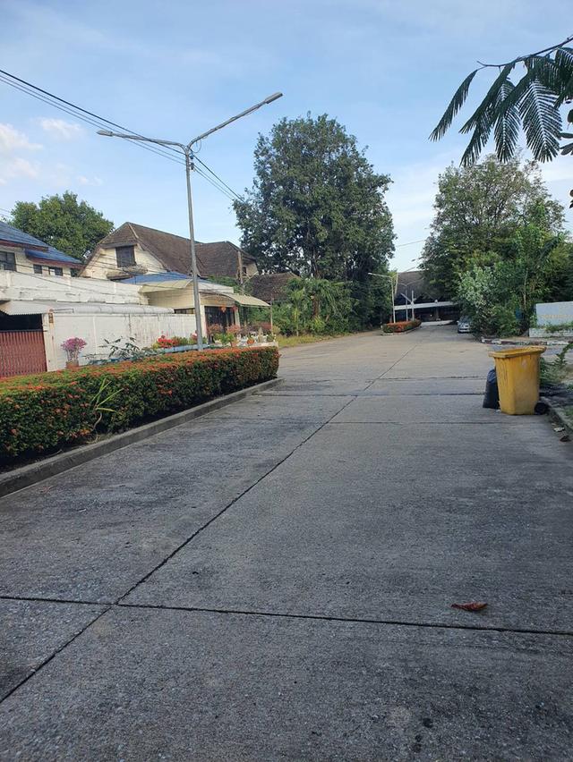 ขายที่ดินและสิ่งปลูกสร้างเนื้อที่ 209 ตารางวา ใกล้รถไฟฟ้า bts พหลโยธิน59 เพียง 350 เมตร 4