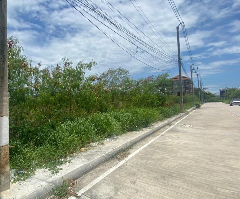 ขายที่ดินเสม็ดถมแล้วเนื้อที่ 199 ตรว. ติดถนนซ.นารถมนตเสวี9/1 ใกล้ถนนพระยาสัจจาเพียง300เมตร อ.เมืองชลบุรี 2