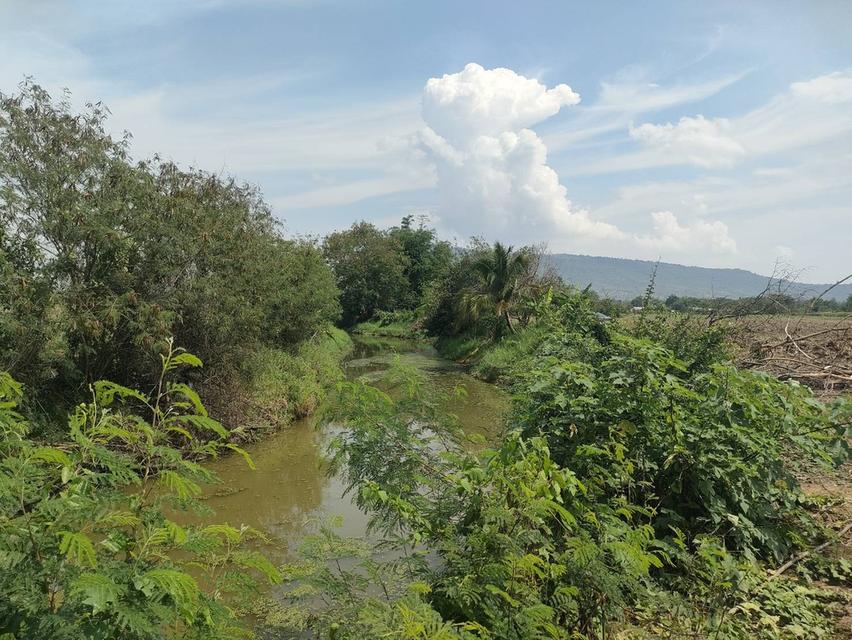 ประกาศขายที่ดินปากช่องแุถวรีสอร์ทบ้านนอกคอกนา ของฉันเอง 10