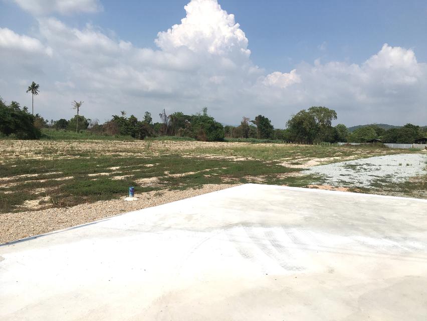 ขายที่ดินพื้นที่สีม่วง เนื้อที่ 6ไร่ 3งาน 95ตรว.ตำบลบึง ศรีราชา ชลบุรี ใกล้นิคมปิ่นทอง 1,2,3,4 ที่ดินเหมาะพัฒนาอุตสาหกรรม โกดัง-โรงงานผังเมือง EEC 1