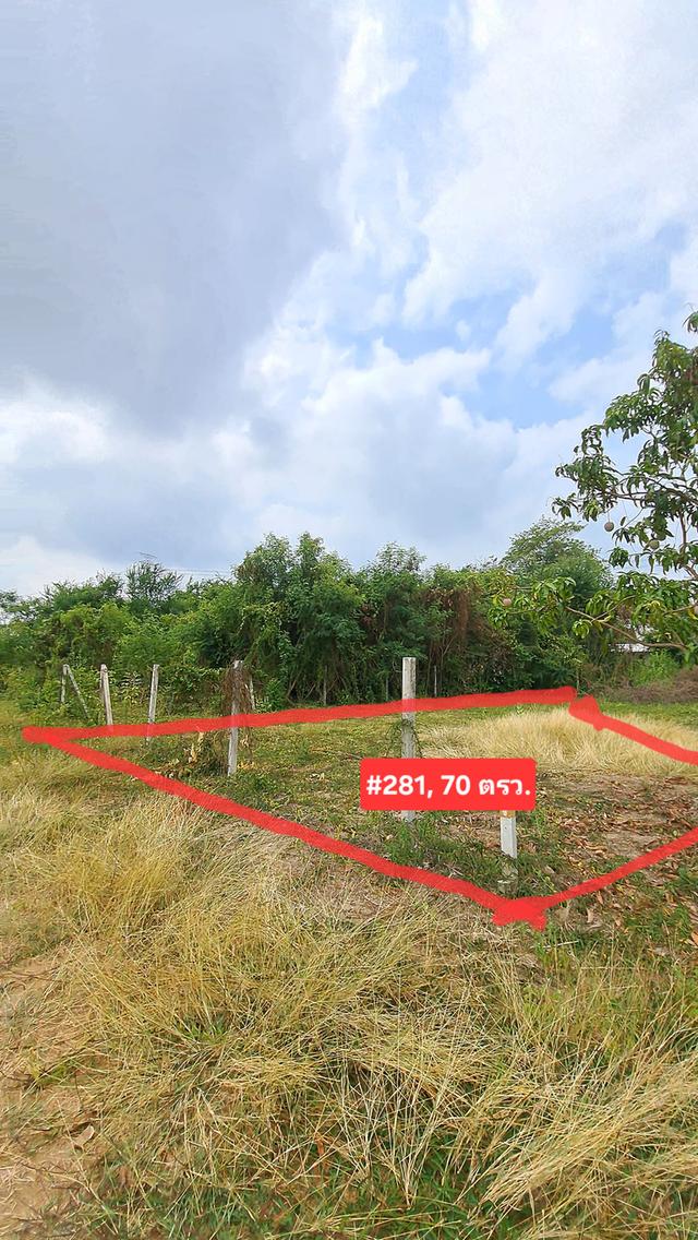 🌿ขายที่ดิน 2 แปลงติดกัน พท. 70 ตรว./แปลง (#281/#282) แบ่งขายได้ 🌿ถ. นฐ3011 ต.บ้านยาง อ.เมือง จ.นครปฐม 73000 🌿ราคาแปลงละ 410,000 บาทง 4