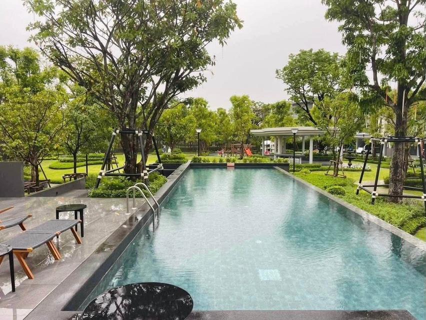 ให้เช่าทาวด์โฮม 3 ชั้น พลีโน่ สุขุมวิท–บางนา 4 ใกล้ Mega Bangna  เข้าอยู่ได้ทันที 17