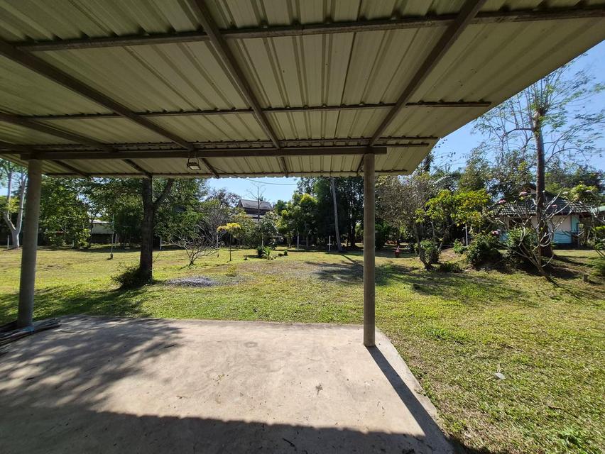 ที่ดิน ใกล้เชียงใหม่ไนท์ซาฟารี และ พืชสวนโลก จังหวัดเชียงใหม่ 2