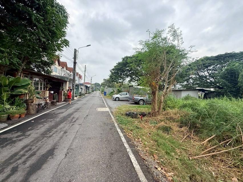 Vายถูกที่ดิน 50 ตารางวา ติดถนนลาดยางสาธารณะ ซอยสกุลช่าง บางบัวทอง นนทบุรี 4