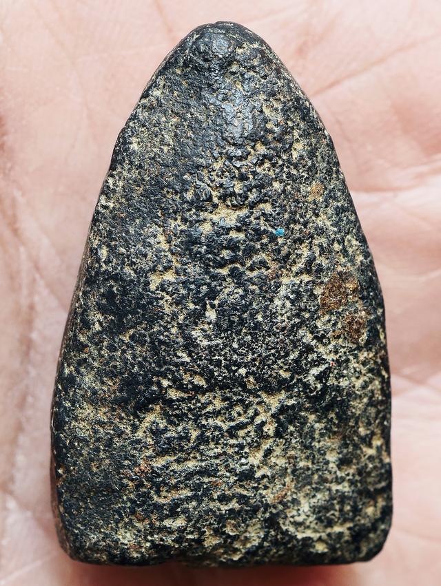 หลวงปู่ทวดเนื้อว่าน วัดช้างให้ พิมพ์กรรมการ เก่า เนื้อจัดๆ รูปที่ 7