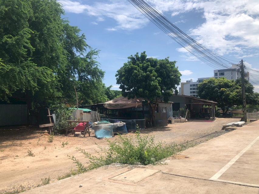 ที่ดินใกล้หาดบางเสร่ 270 ม. | 1 ไร่ 1 งาน 89 ตร.ว. | เหมาะพัฒนาโครงการ 7