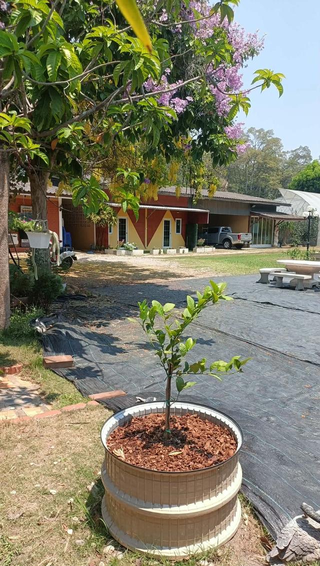 บ้านพร้อมที่ดิน อ.บ้านโป่ง จ.ราชบุรี 4