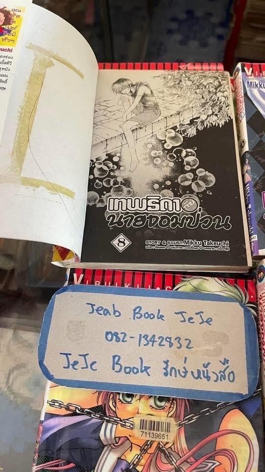 หนังสือการ์ตูน เทพธิดากับนายจอมป่วน 1-11 จบ รูปย่อยที่ 3