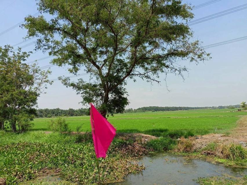 โอกาสมีที่ดินเป็นของตัวเอง คลอง 12 หนองเสือ เริ่มเพียง 360,000 บาท 14