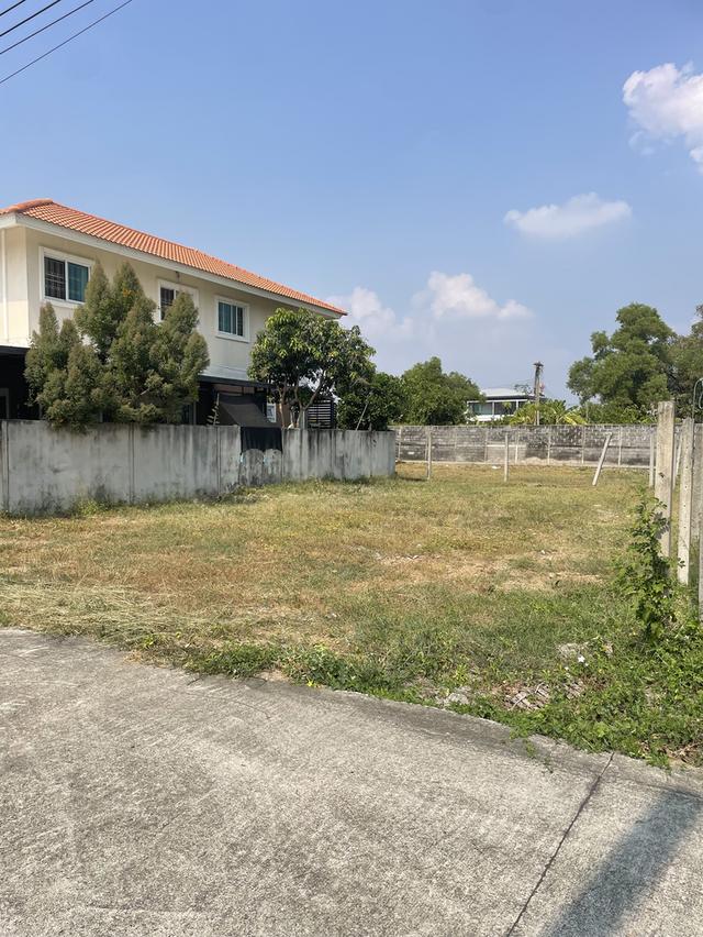 ที่ดินทำเลดี โครงการจัดสรรย่านรังสิต ใกล้ฟิวเจอร์พาร์คและ BTS คูคต เพียง 7 กม. 25,000/ตร.วา 2