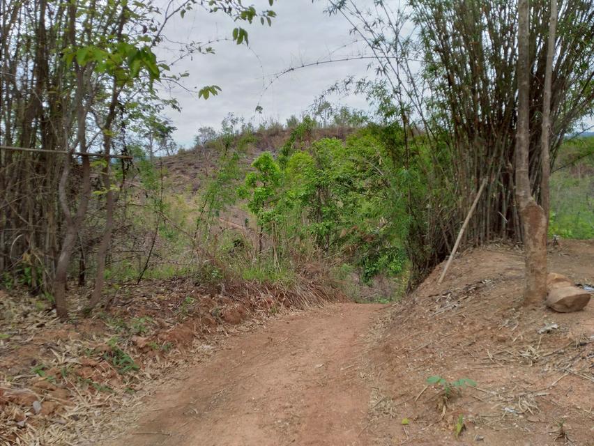 ที่ดินทำการเกษตร เหมาะทำรีสอร์ท บ้านพักตากอากาศ 6