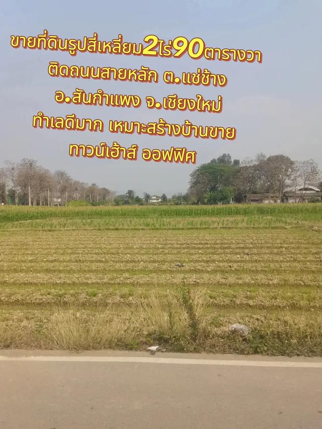 ขายที่ดินแปลงสวยรูปสี่เหลี่ยม2ไร่90ตารางวา ติดถนนสาย1147 ทำเลดีมากๆ ต.แช่ช้าง อ.สันกำแพง จ.เชียงใหม่ 2