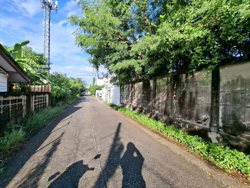 ด่วน! ที่ดินสวยใจกลางเลียบด่วนฯ ซ.ประดิษฐ์มนูธรรม 23 | 200 ตร.วา | เหมาะปลูกบ้าน ออฟฟิศ |แปลงสวย หน้ากว้าง ใกล้ทางด่วน เ 5