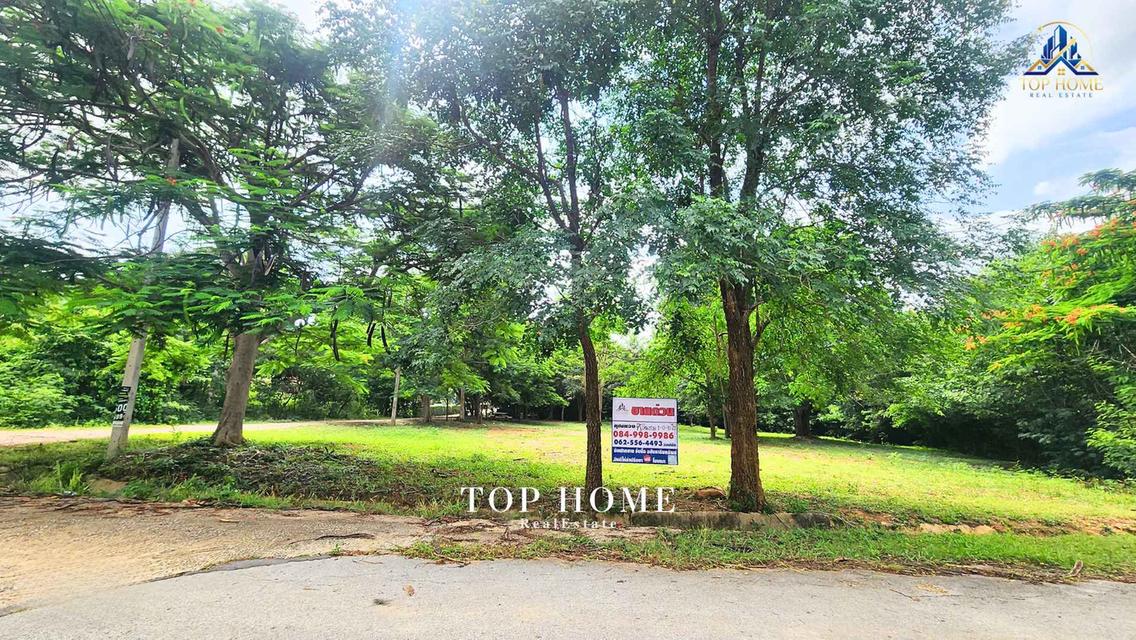 ขายด่วน! ที่ดินแปลงมุม วิวภูเขา | มวกเหล็กวัลเลย์ สระบุรี 🔥 🌿 แปลงสวย ถมแล้ว บรรยากาศดี เป็นส่วนตัว — พร้อมสร้างบ้านพักตากอากาศในฝัน 1