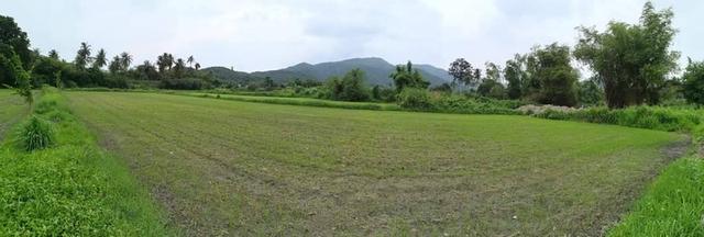 ที่ดินสวยวิวเขาหนองรี 7