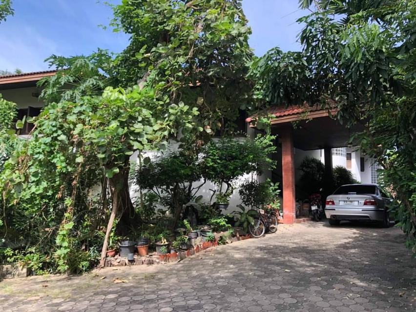 ขายบ้านเดี่ยววชิรธรรมสาธิต ปุณณวิถี สุขุมวิท101/1 ที่ดิน 1ไร่ 2งาน แปลงสวยมาก ใกล้ BTSปุณณวิถี อุดมสุข ใกล้ทางด่วนบางนา สุขุมวิท62 ออกศรีนครินทร์ 5