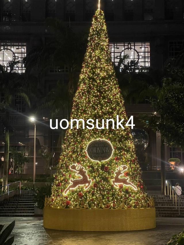 งานวีไอพีต่างประเทศรายได้ดีบินฟรีทั่วโลกโดย uomsunk4 3