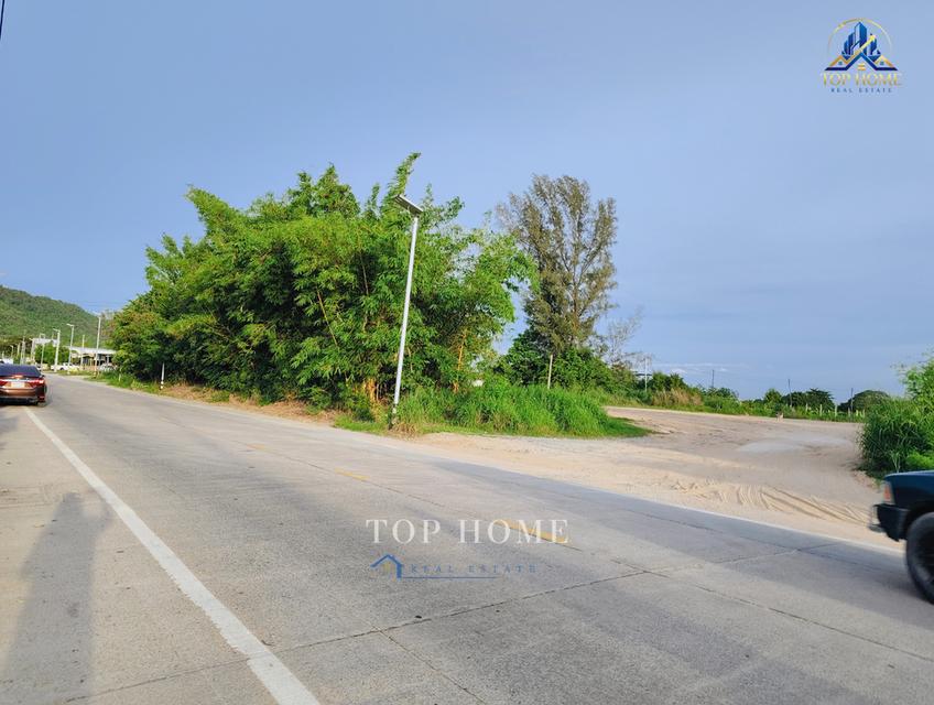 ขายด่วน❗️ที่ดิน 1 ไร่ ศรีราชา ห่างจากทางด่วนมอเตอร์เวย์หมายเลข 7 เพียง 10 นาที 5