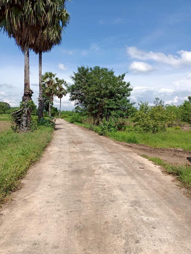 ที่ดิน เพนียด ลพบุรี ขนาด 102 ตร.วา 115,000 10