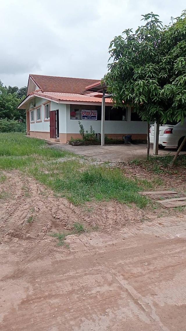 บ้านเดี่ยว1ชั้น หลังใหญ่ ใกล้แม่น้ำโขง 7