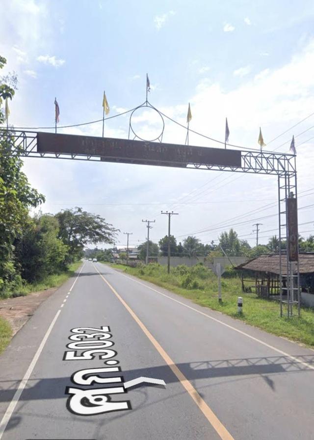 ขายที่ดินอำเภอกันทรลักษ์ 2