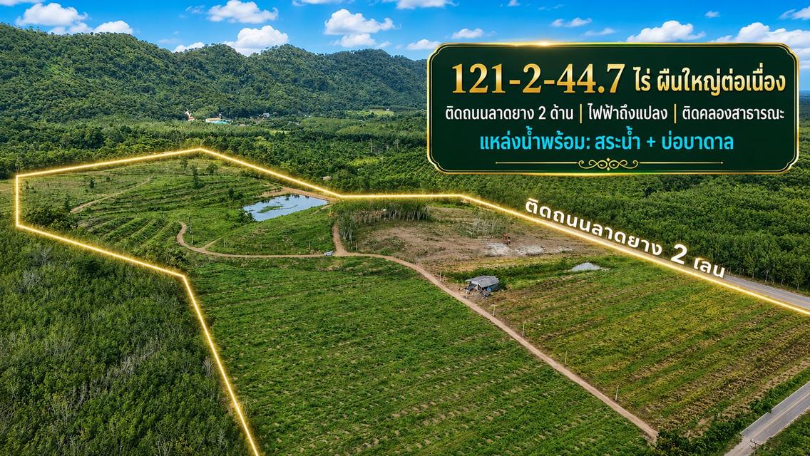 ขายที่ดิน 121 ไร่ ใกล้แยกนายายอาม จันทบุรีง ติดถนนลาดยาง 2 ด้าน ไฟฟ้าพร้อม มีสระน้ำ บ่อบาดาล และติดคลองสาธารณะ 1