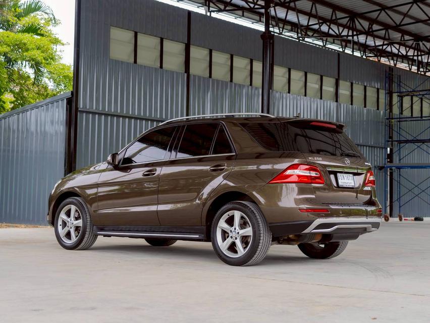 Benz ML250  Bluetec 4 Matic 2013 6