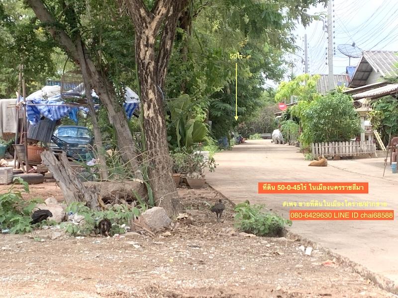 ขายที่ดินใกล้เซ็นทรัลโคราช เนื้อที่ 50ไร่ ที่ดินอยู่ในซอยมหาชัยห่างจากถนนสุรนารายณ์ ประมาณ 1.5กม. 4