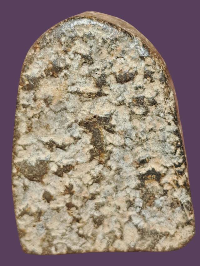 พระซุ้มกอ เปิดเช่าบูชา รูปย่อยที่ 3