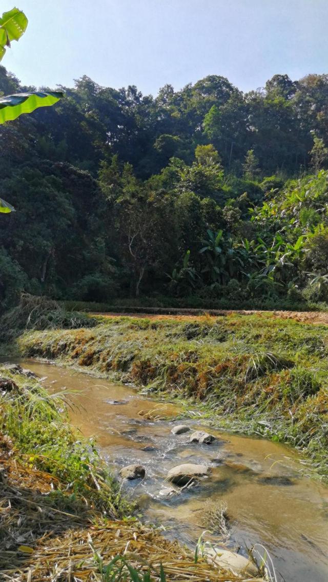 ที่ดินติดลำธารใกล้น้ำตก