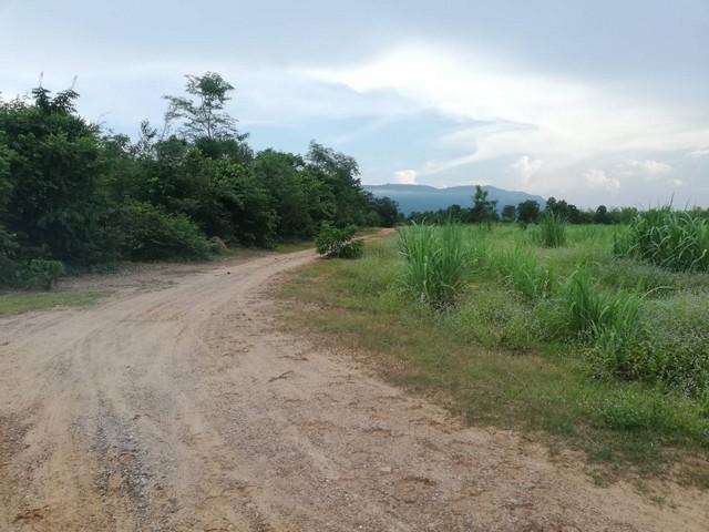 สนใจราคาเงื่อนไขคุยเจ้าของได้ ขายที่ดินสวยติดภูเขา เทือกเขายาวเรียงแนว ดินดีสมบูรณ์ทรัพย์ในดิน ฟ้าใสวิวหลักล้าน ต.นาจาน
