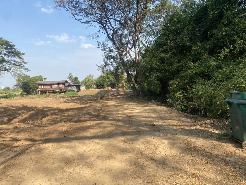 ที่ดินผืนงามริมแม่น้ำเจ้าพระยา – อัญมณีแห่งบางปะอิน 10