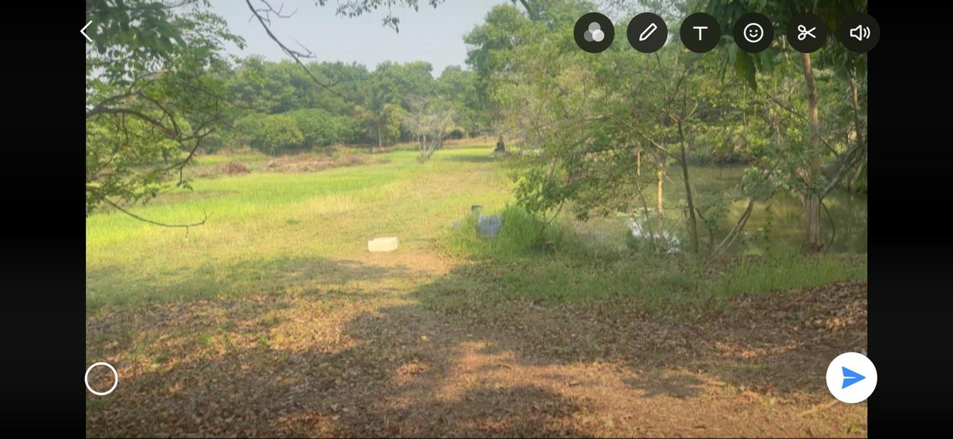 ที่ดินจังหวัดหนองคาย 2