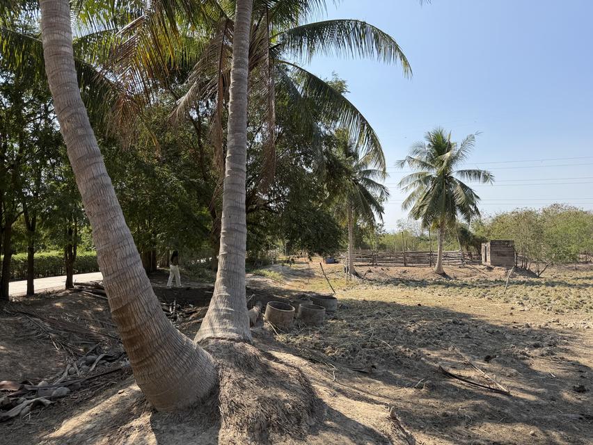 ขายที่ดินแปลงนี้ 16ไร่1งาน76ตรว ต.หนองตาแต้ม อ.ปราณบุรี จ.ประจวบคีรีขันธ์ ที่ดินติดถนน ติดภูเขา 6