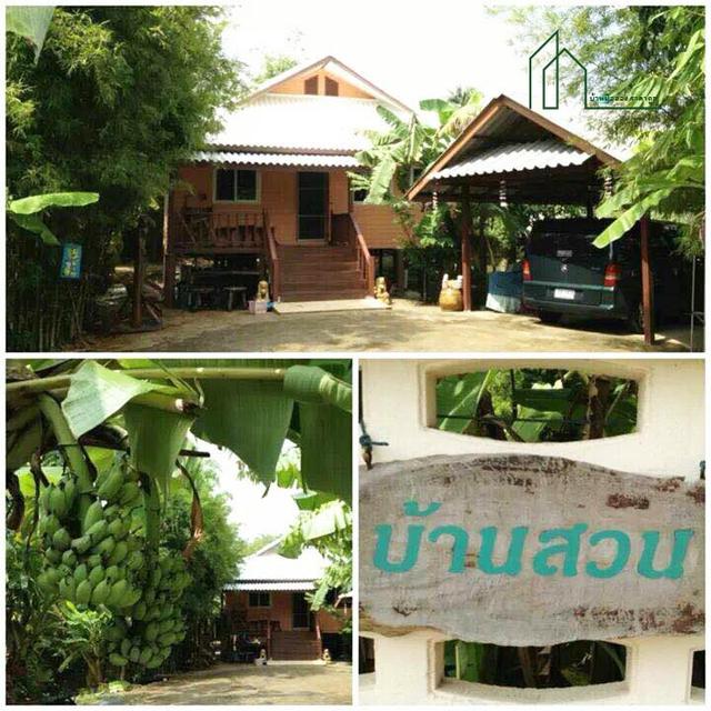 บ้านสวนบางกระเจ้า พระประแดง บนพื้นที่ 469 ตรว. บรรยากาศธรรมชาติ บนพื้นที่สีเขียวอากาศสดชื่น ใกล้ตลาดน้ำบางน้ำผึ้ง 19